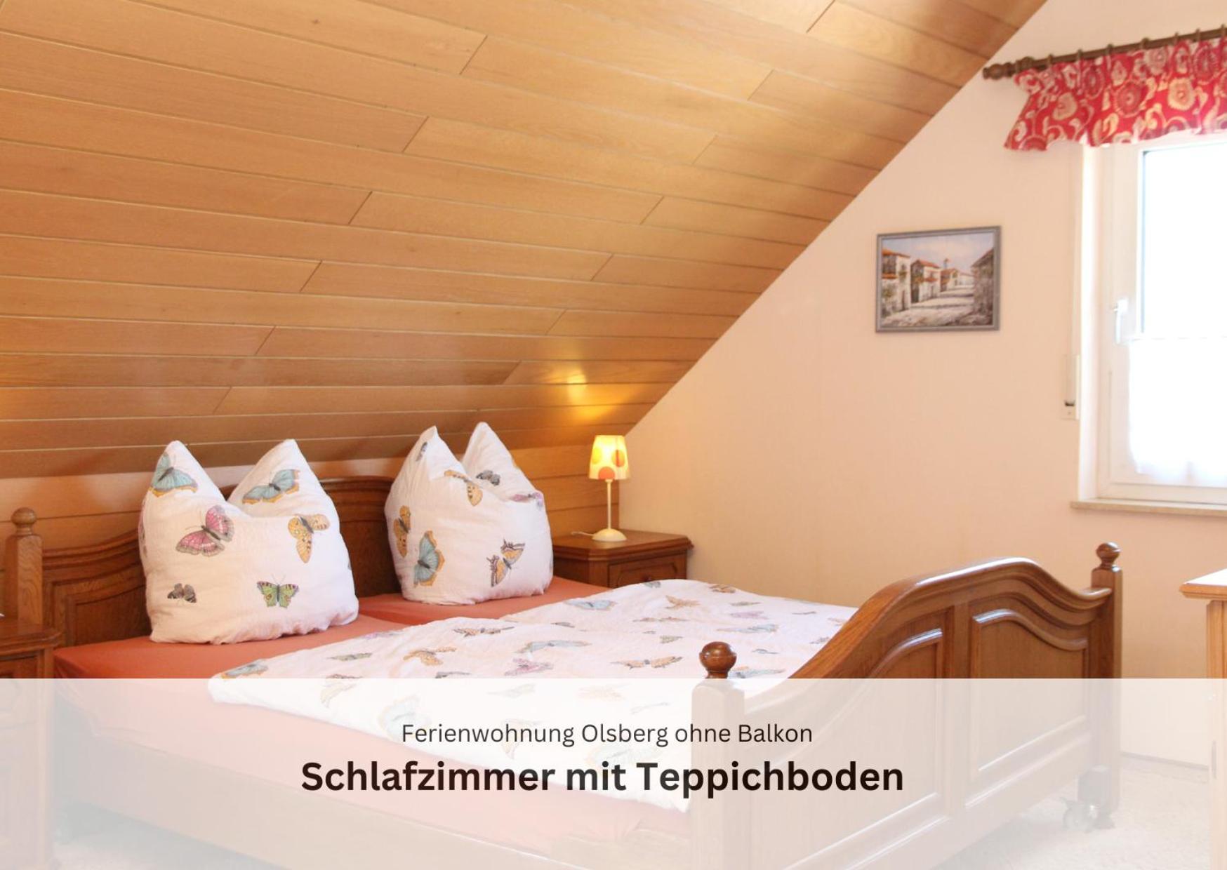 Ferienwohnungen Sauerland Und Olsberg Exterior photo