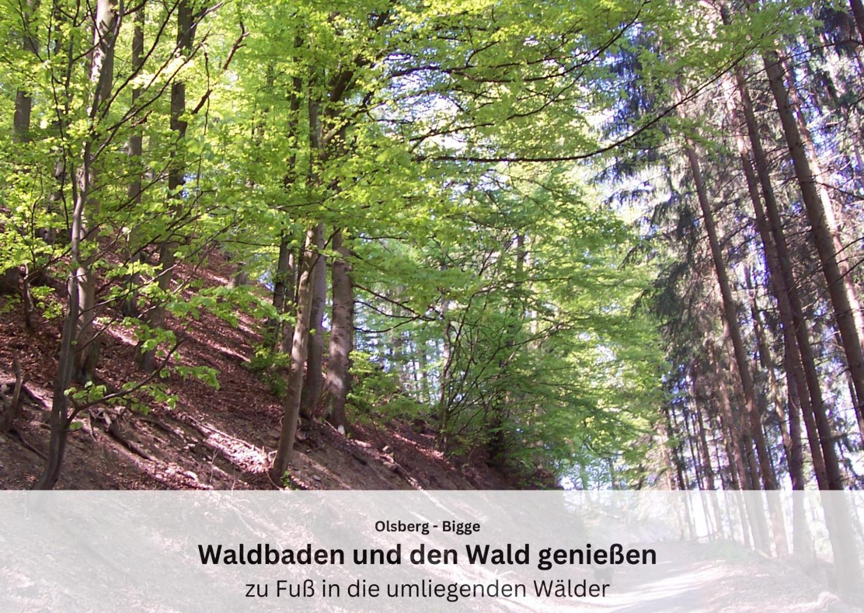 Ferienwohnungen Sauerland Und Olsberg Exterior photo